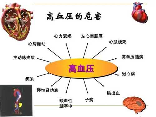 沒癥狀不代表沒傷害，高血壓對身體的危害你知道多少？