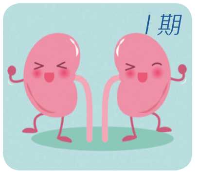 糖尿病為何會(huì)引起腎??？糖尿病引發(fā)的腎損傷是如何一步一步加重的！