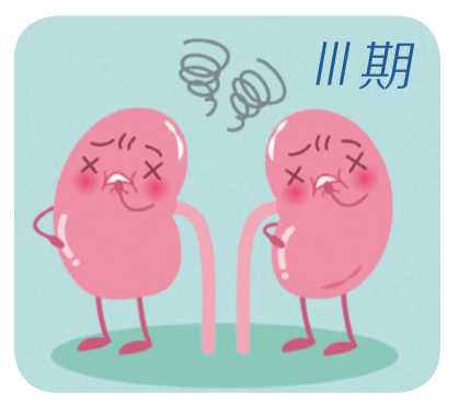糖尿病為何會(huì)引起腎?。刻悄虿∫l(fā)的腎損傷是如何一步一步加重的！