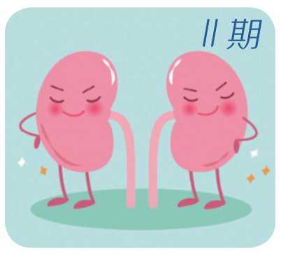 糖尿病為何會(huì)引起腎??？糖尿病引發(fā)的腎損傷是如何一步一步加重的！