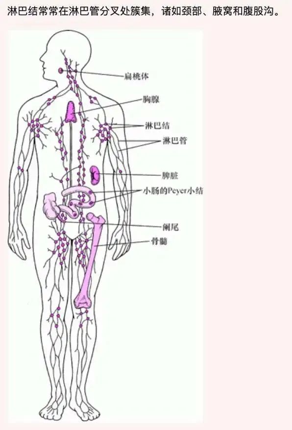 孩子先天免疫力不好，常伴有10種跡象！