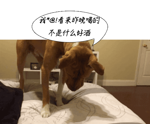 男人腎不行，更容易得高血壓！關(guān)注腎血管性高血壓癥